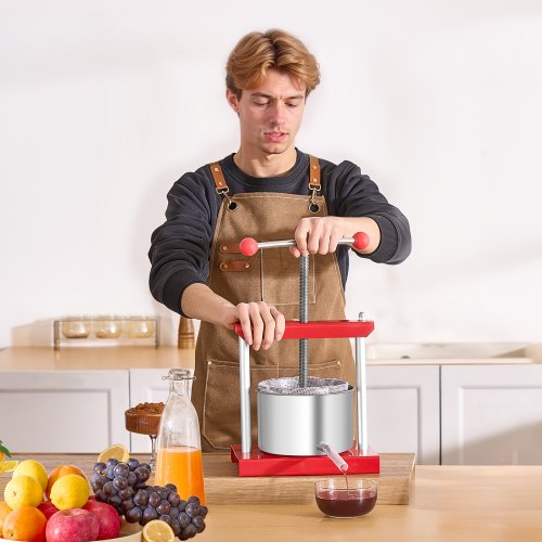VEVOR Obstweinpresse Manuelle Presse Weinherstellung 3L Edelstahl Apfelpresse