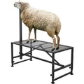 VEVOR Viehständer Trimmständer Scherständer 1195x595mm 1170-1630mm schwarz