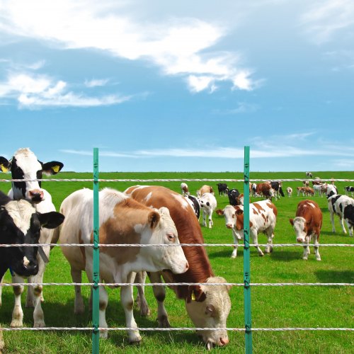VEVOR 800m Weidezaundraht HDPE Zaundraht Weidedraht Weidezaun 54kg Zugkraft